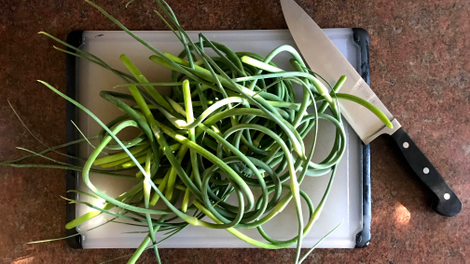 Roughly half the garlic scapes from my garden